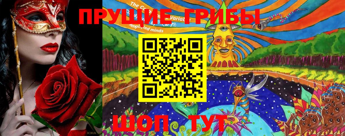 Чернушка  Галлюциногенные грибы GOLDEN TEACHER  дарнет шоп  Вход с VPN 
