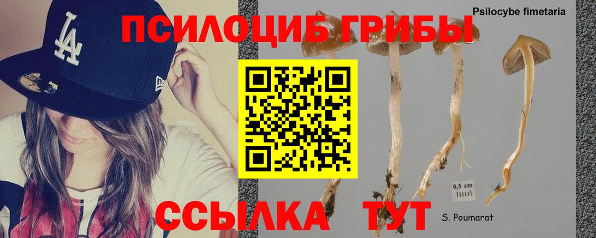 Псилоцибиновые грибы мухоморы Чернушка