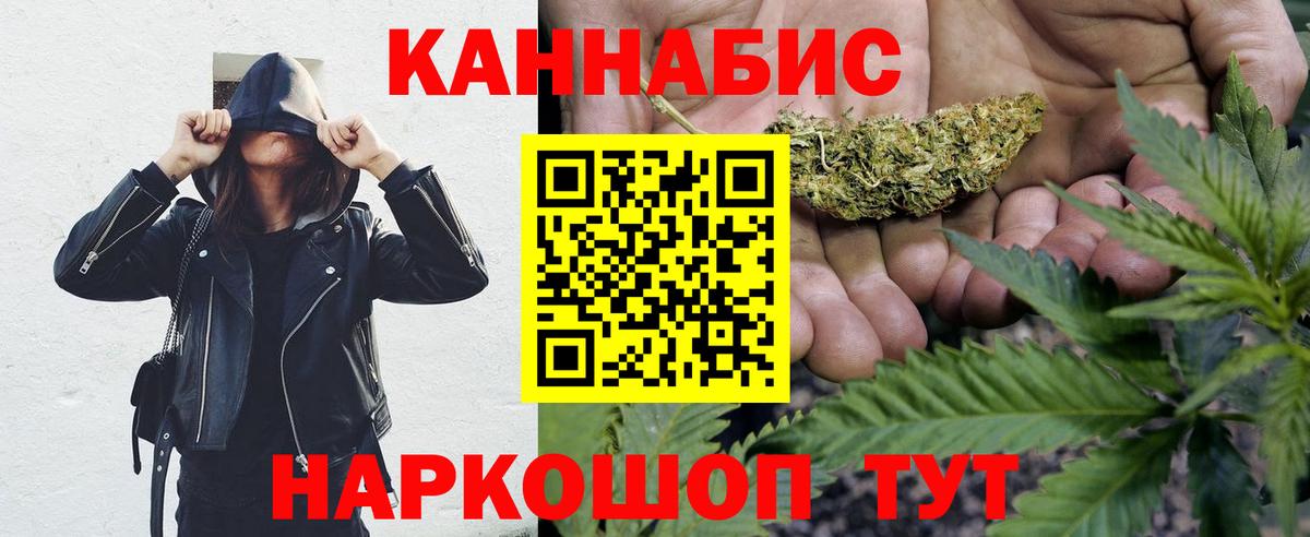 Конопля OG Kush Чернушка