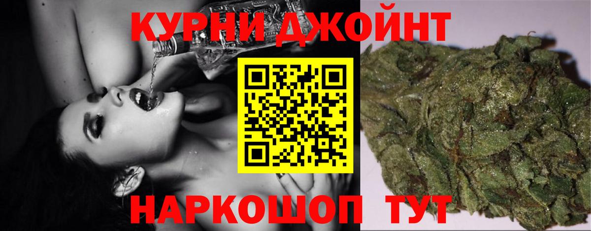 Шишки марихуана семена  Вход с VPN  Бошки Шишки марихуана  Чернушка  Шишки марихуана план 